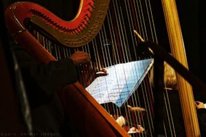 Harp Player